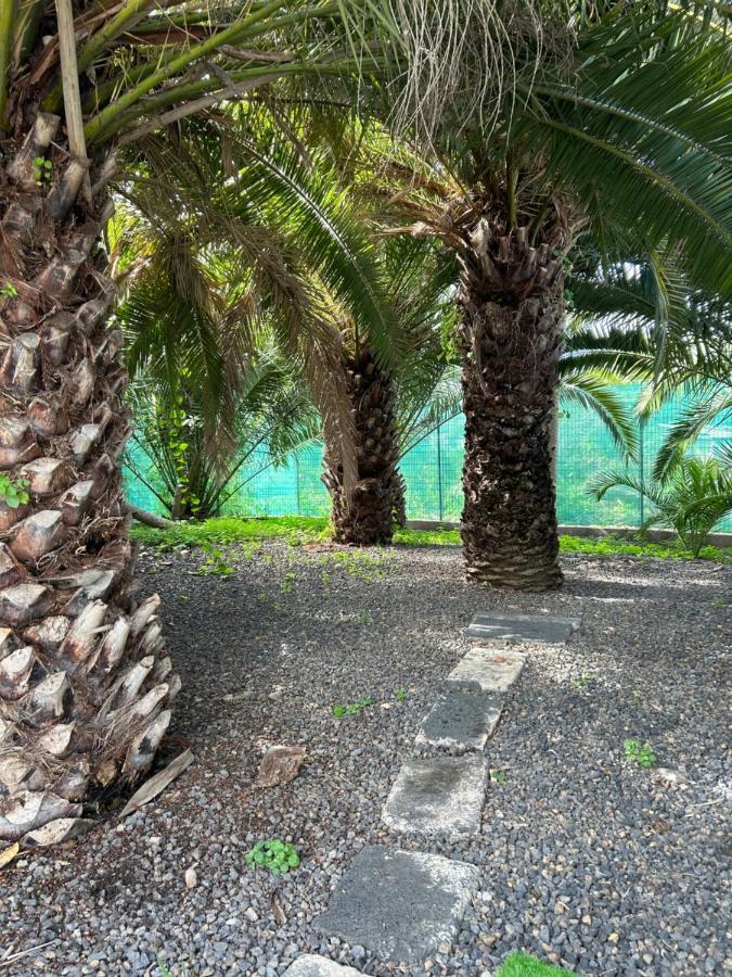 Casa Beatriz Villa ลาโอโรตาวา ภายนอก รูปภาพ